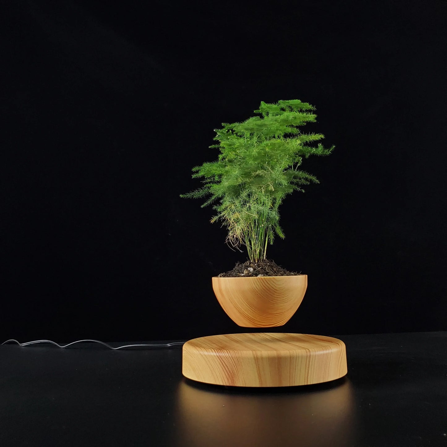 Levitating Flower Pot