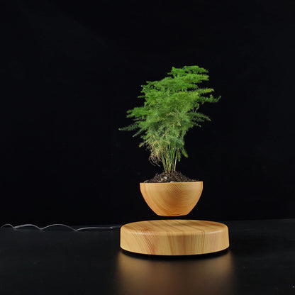 Levitating Flower Pot