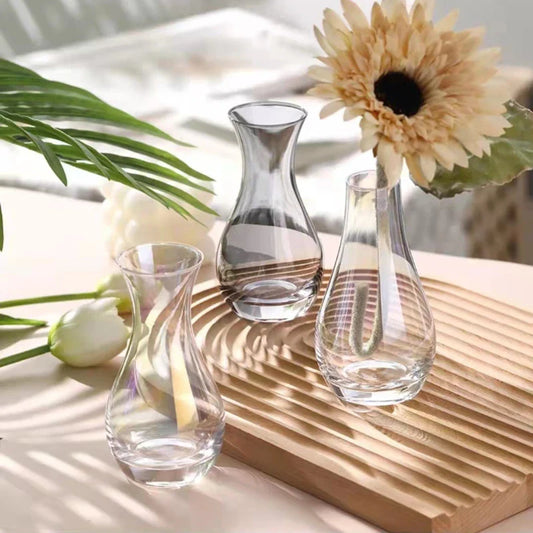 Luxury Simple Wind Glass Vase