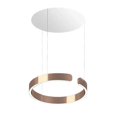 Induction Dimming Pendant Lights